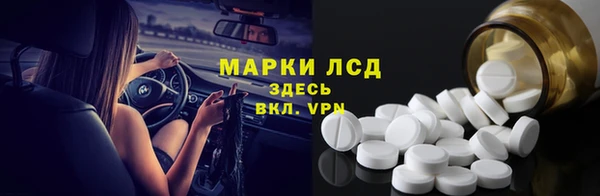 гидра Чекалин