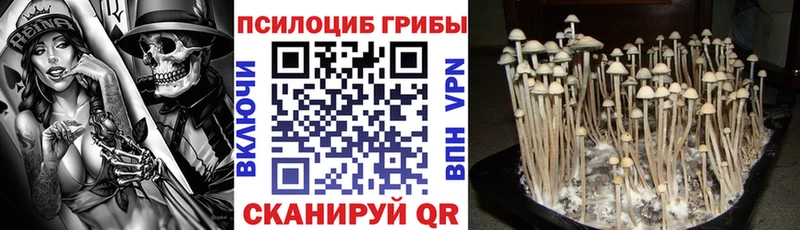 Псилоцибиновые грибы мухоморы закладки Агрыз
